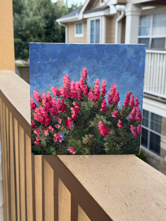 "Miss Myrtle" (2025)