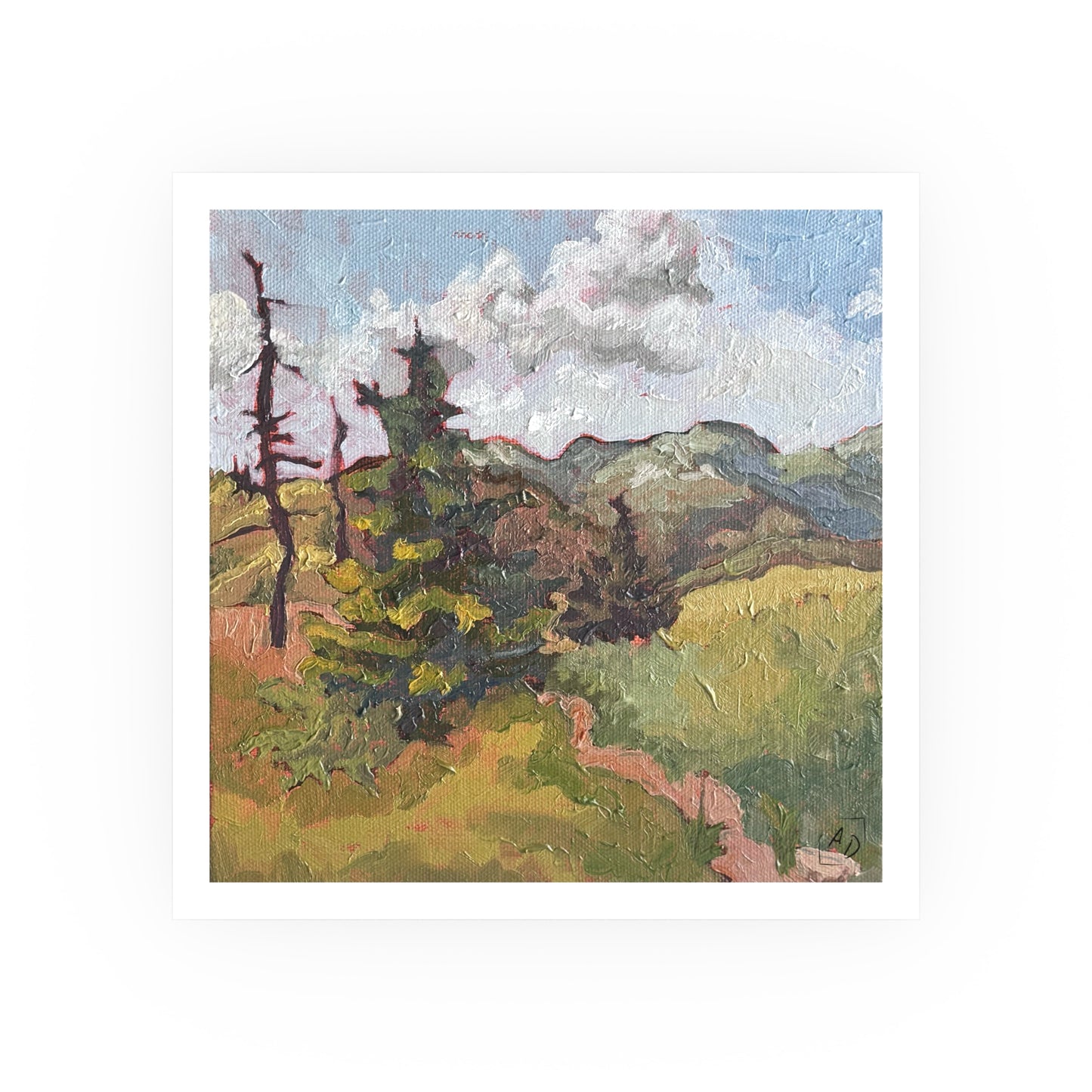 A Peaceful Walk Print