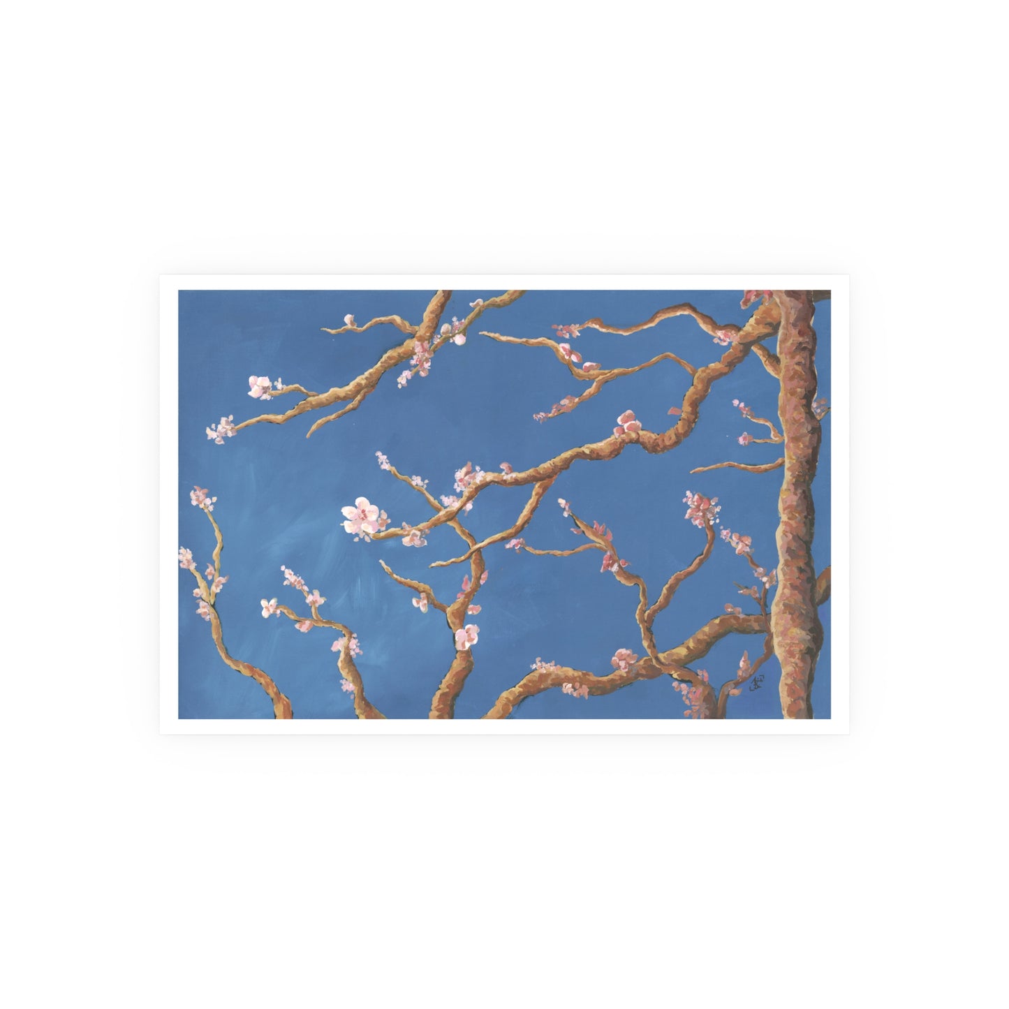 Blush Blossoms Print