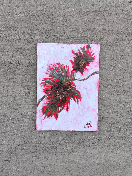 "Piney Cones" (2026)