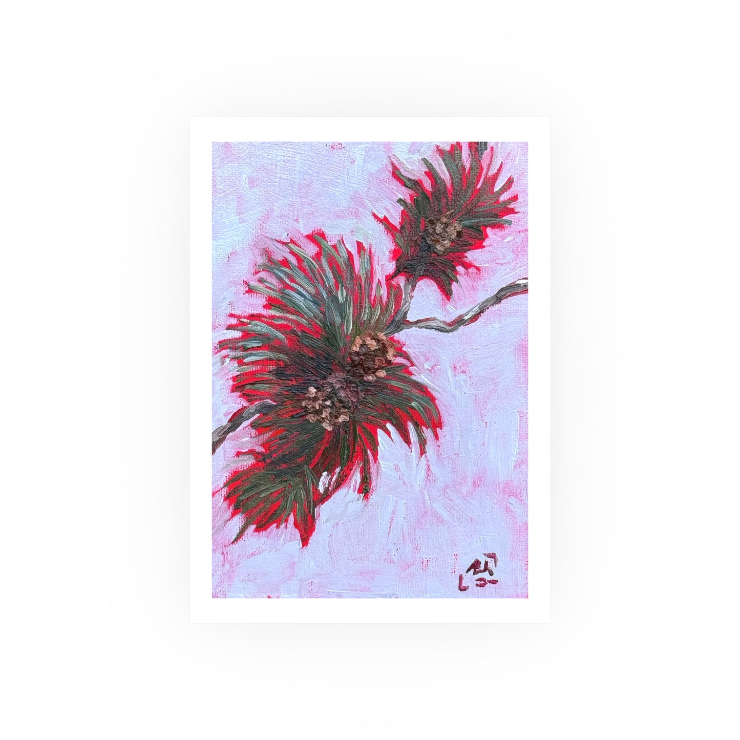 Piney Cones Print