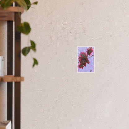 Piney Cones Print